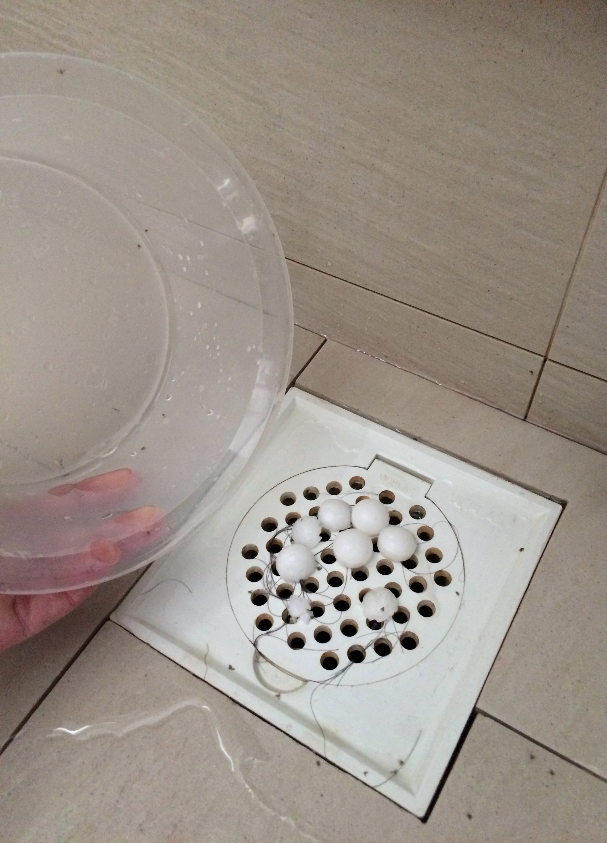 Quick Cheap And Easy Way To Get Rid Of Drain Flies